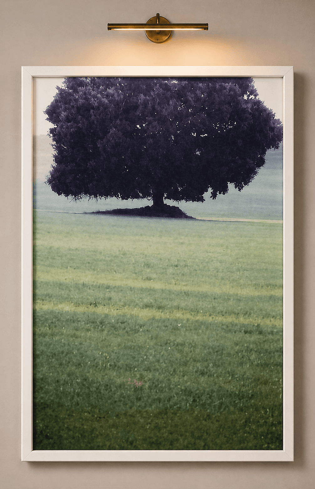 ÁRBOL DE CASTILLA - LA MANCHA