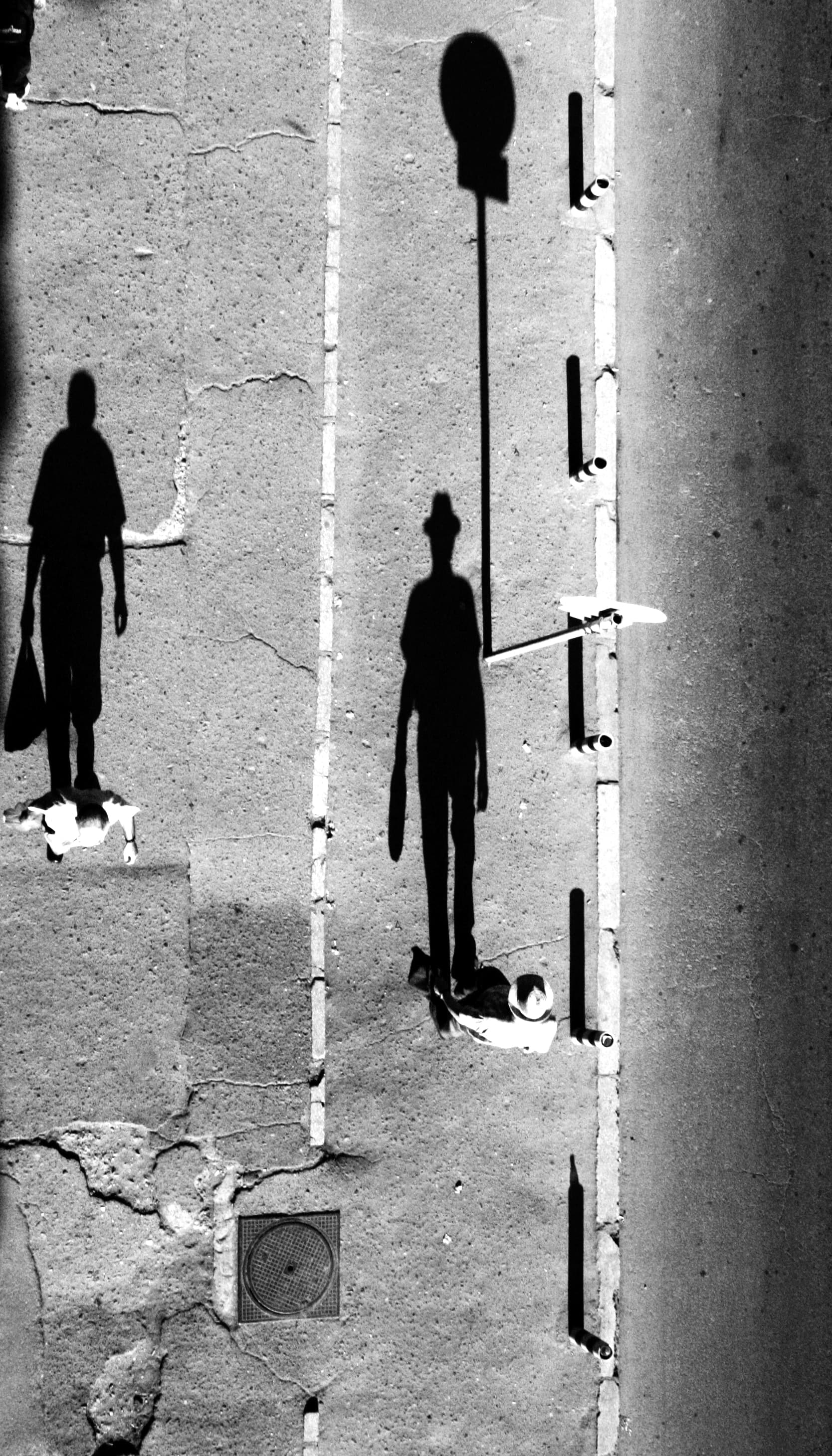 “Umbra Alba”