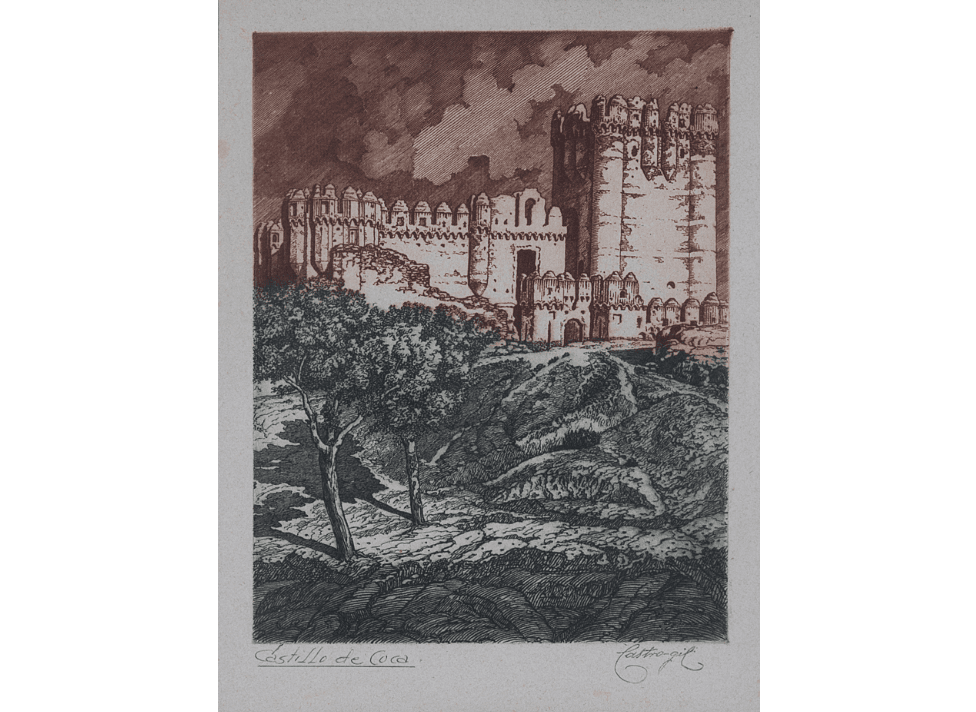 castillo de coca.