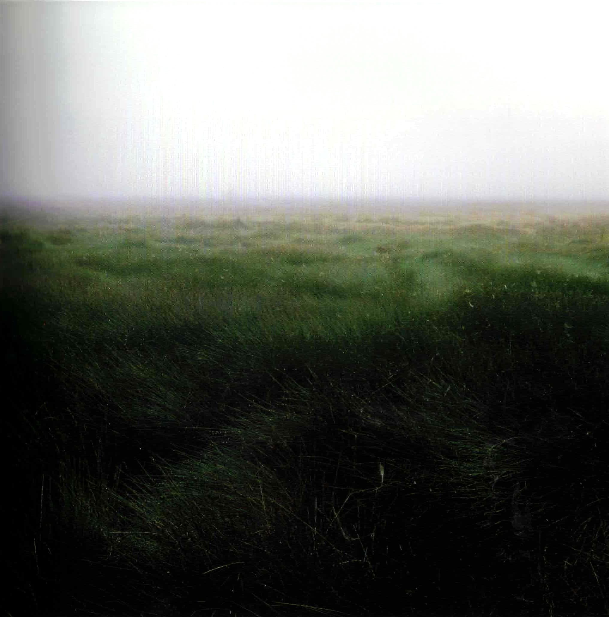 “a la aurora 2”.