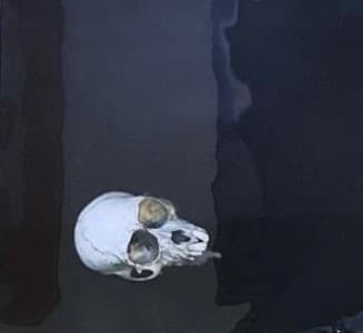 “caveira - calavera”.