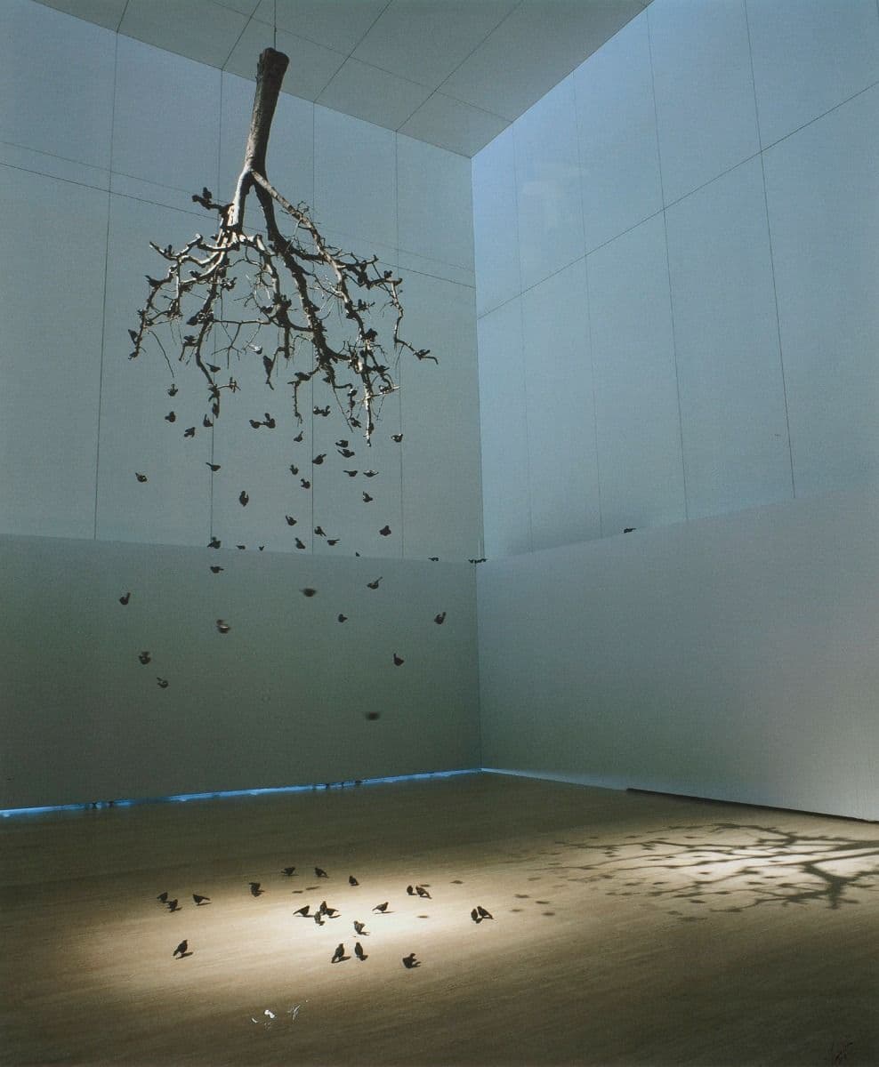 “sin título”. (serie “corredores de luz y ceniza”).