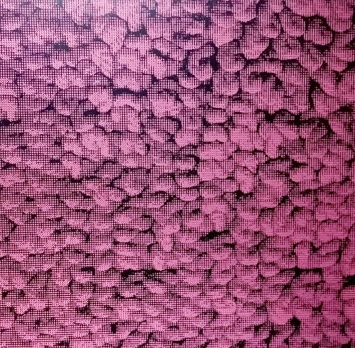 “colour composition pink mat nº 288”.