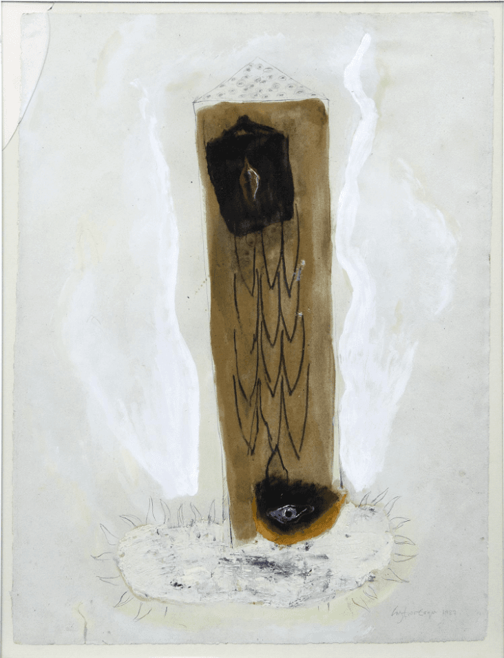 “abstracción con ojo”.