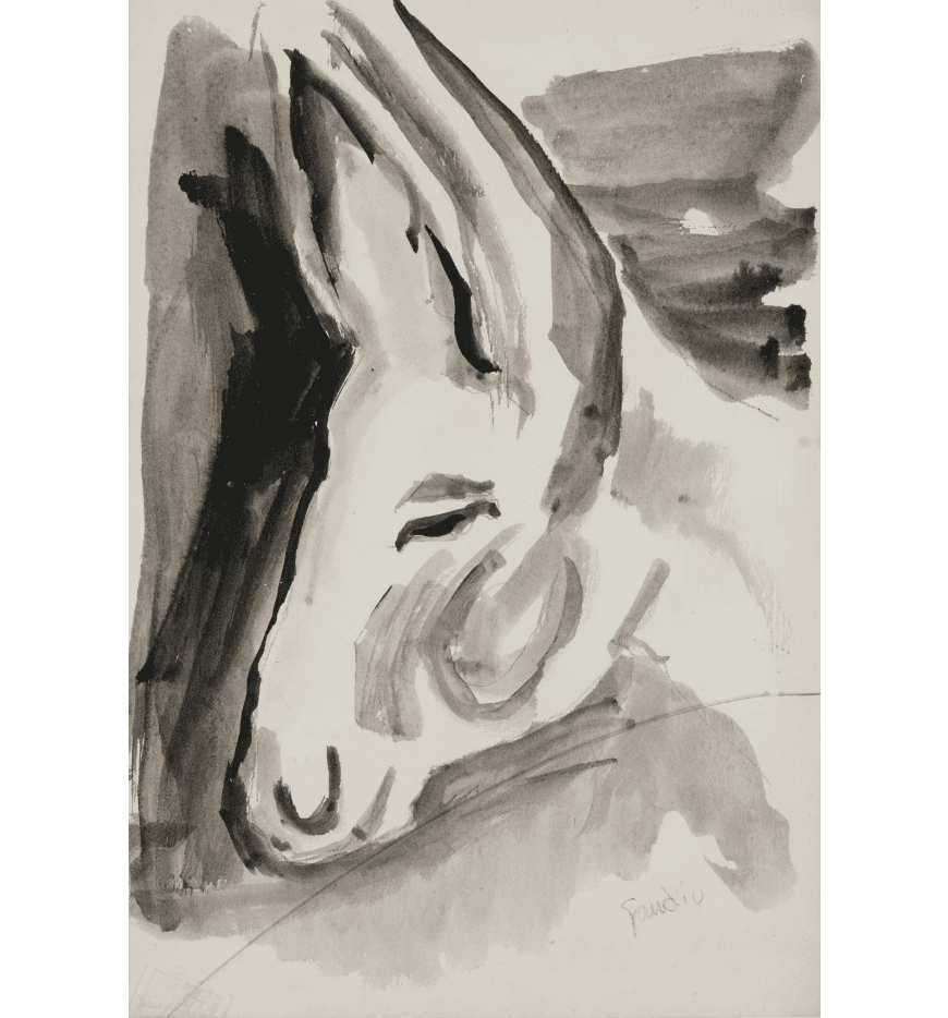 “burro”.